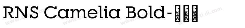 RNS Camelia Bold字体转换